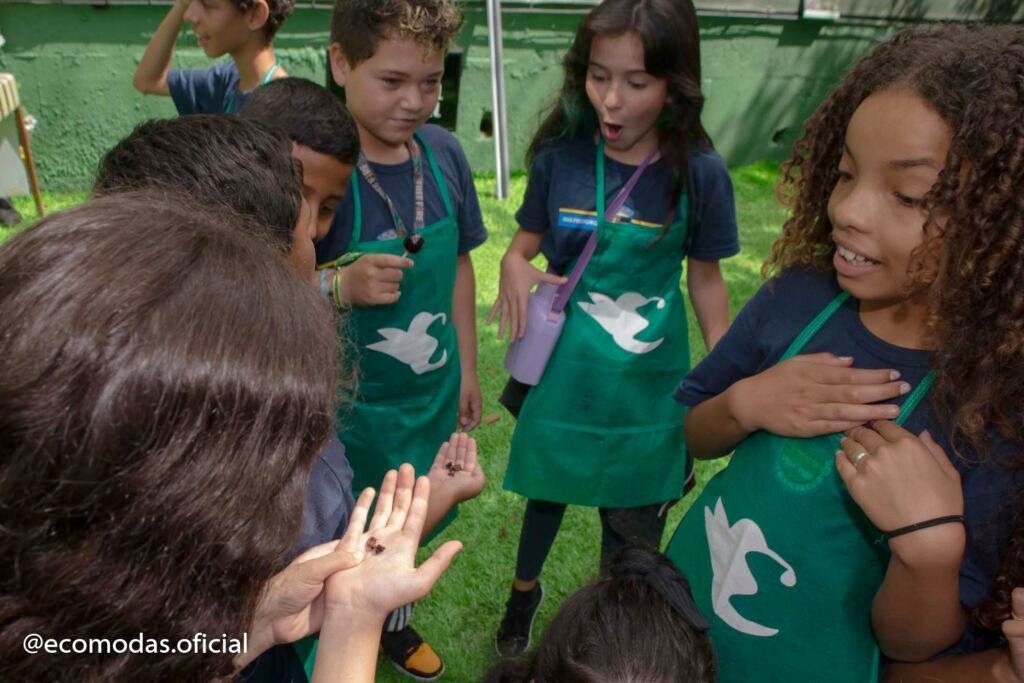 Alunos conhecendo as abelhas sem ferrão