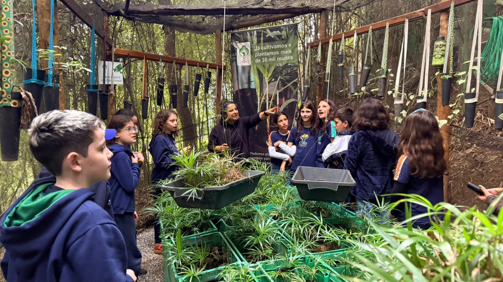 Alunos no viveiro de mudas