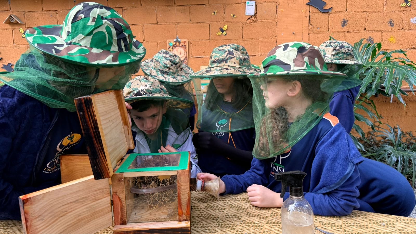 Alunos observando a caixa de abelhas