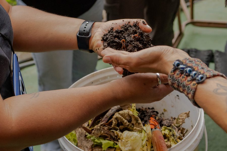 Mãos segurando composto orgânico com minhocas sobre um balde de compostagem