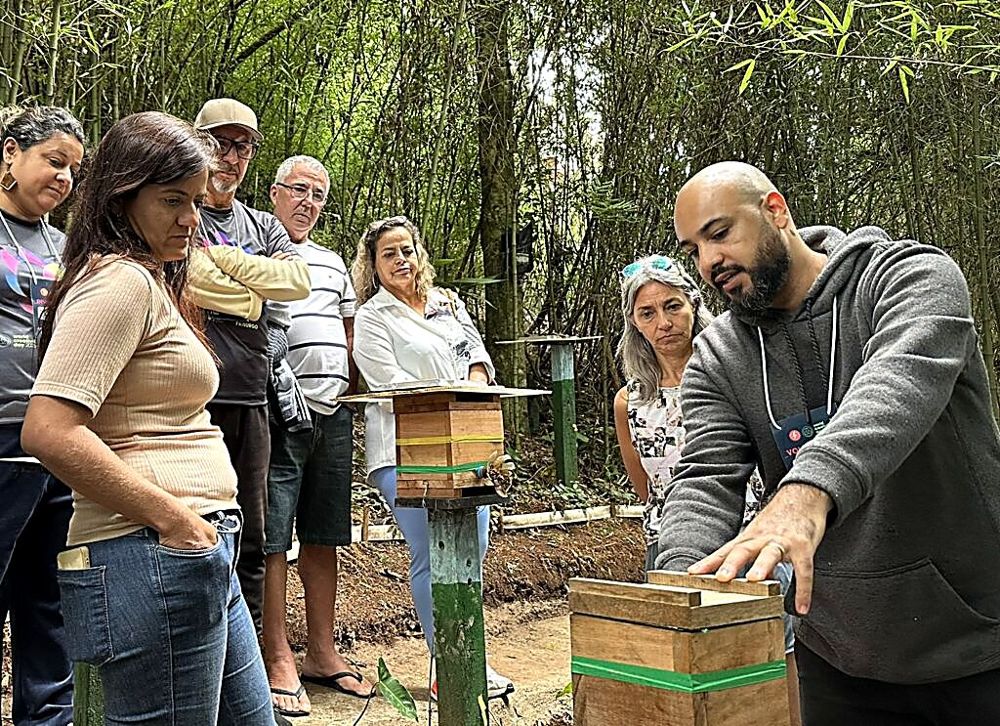 Guia apresentando as colmeias de abelhas sem ferrão